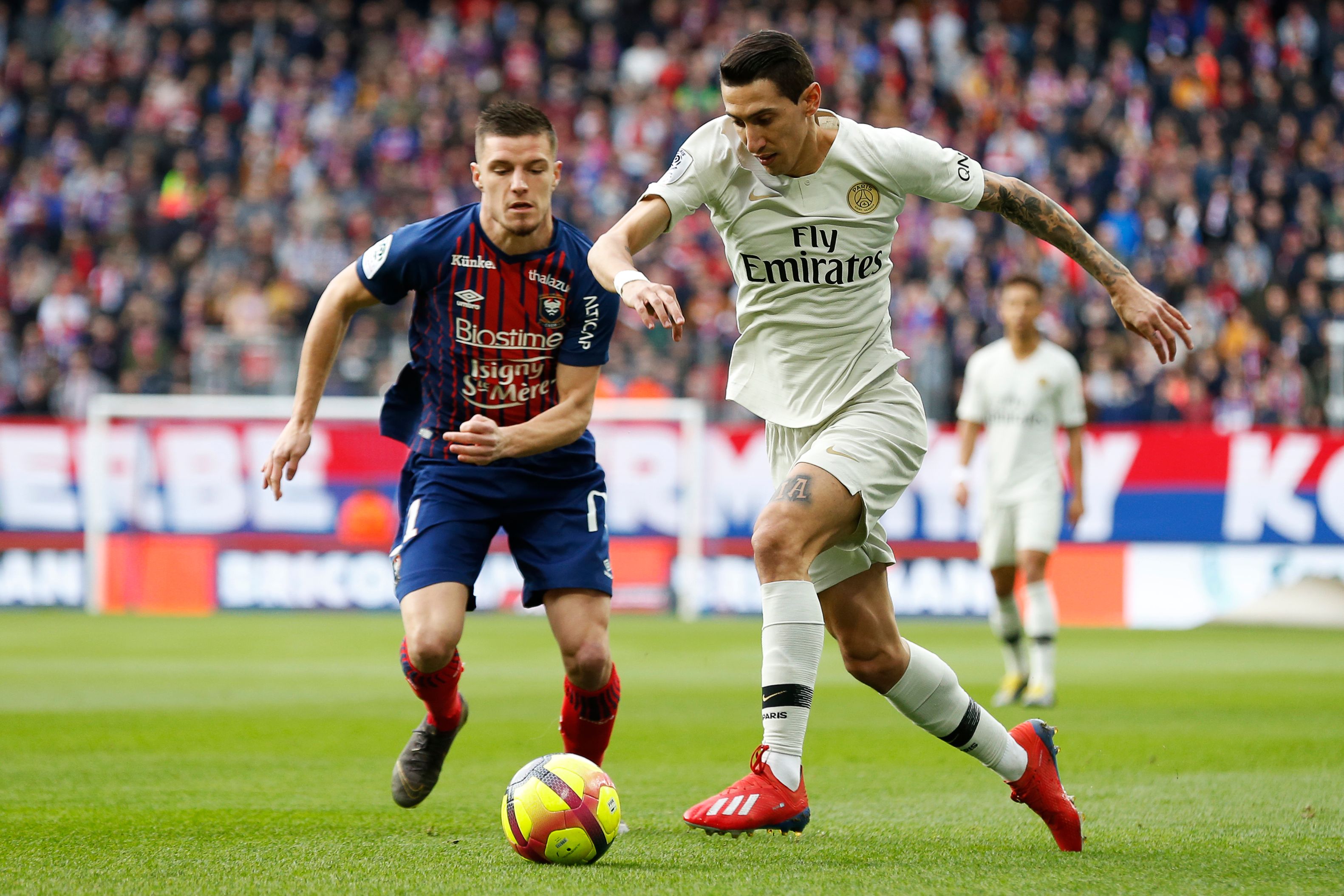 刘军帅晒海牛队与远征军合照：又在末轮完成目标，祝未来可期